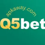 Q5 Bet Game
