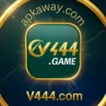 V444 Game