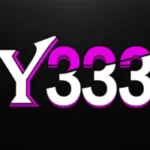 Y333 Game