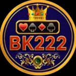 BK222 Game