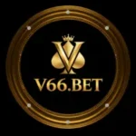 V66 Game