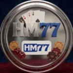 HM77 Game